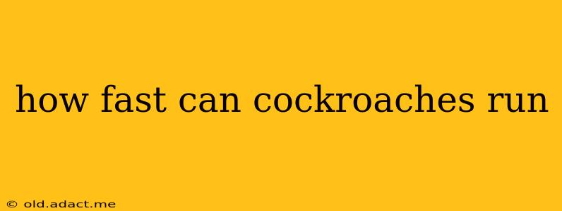 how fast can cockroaches run