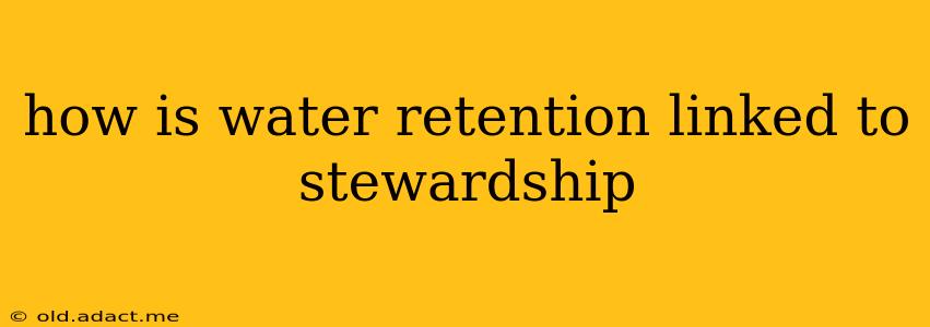 how is water retention linked to stewardship