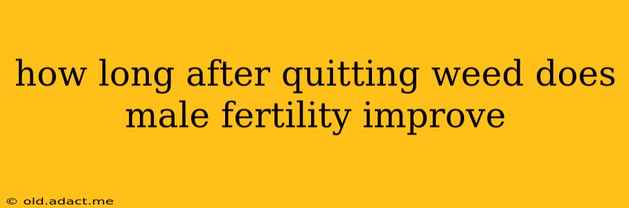 how long after quitting weed does male fertility improve