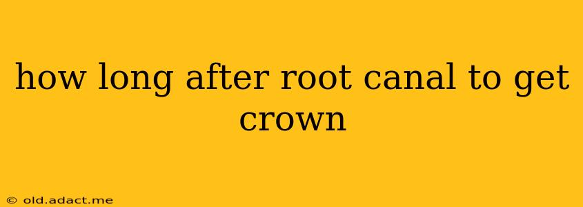 how long after root canal to get crown
