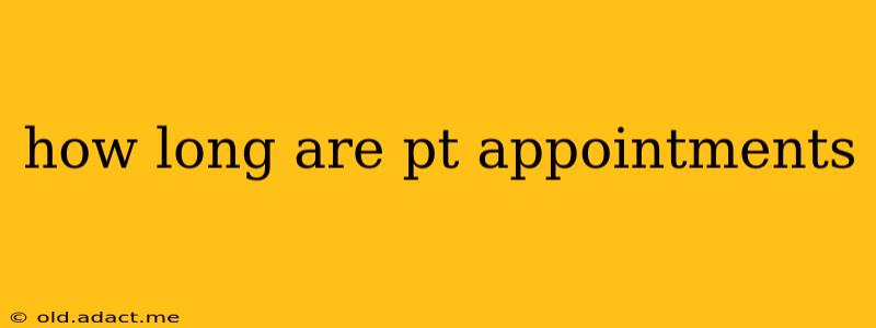 how long are pt appointments