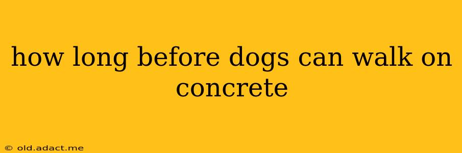 how long before dogs can walk on concrete