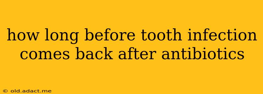 how long before tooth infection comes back after antibiotics