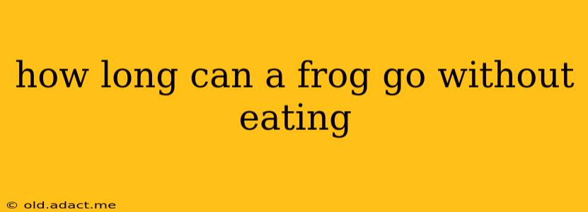 how long can a frog go without eating