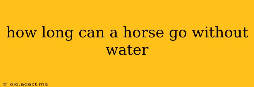 how long can a horse go without water