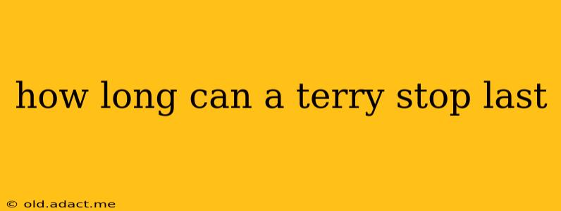 how long can a terry stop last