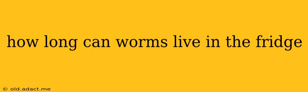 how long can worms live in the fridge