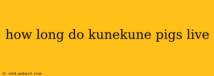 how long do kunekune pigs live