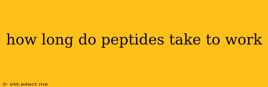 how long do peptides take to work