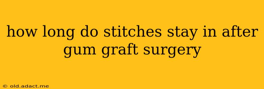 how long do stitches stay in after gum graft surgery