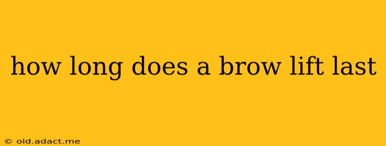 how long does a brow lift last