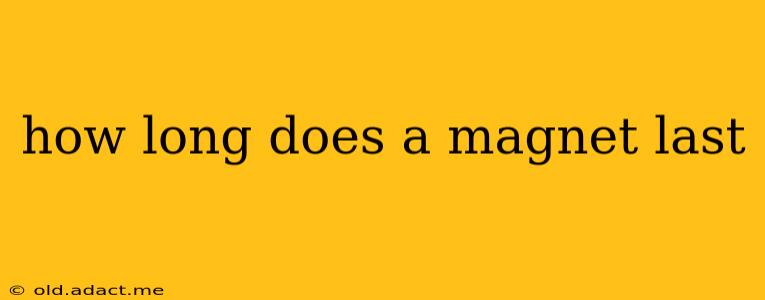 how long does a magnet last