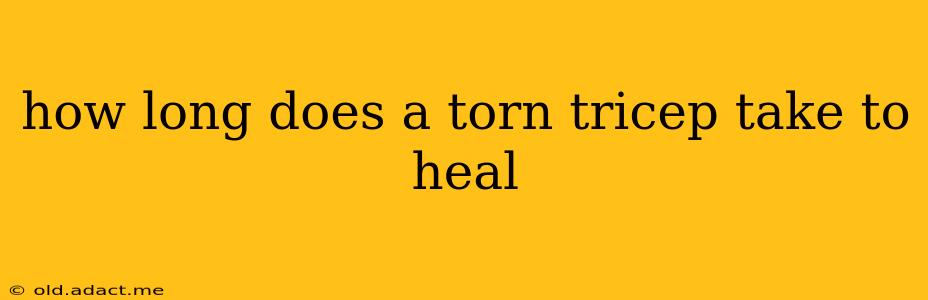 how long does a torn tricep take to heal