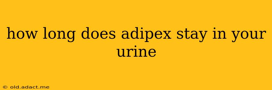 how long does adipex stay in your urine