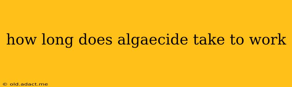 how long does algaecide take to work