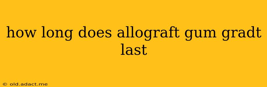 how long does allograft gum gradt last