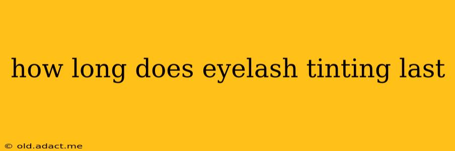 how long does eyelash tinting last