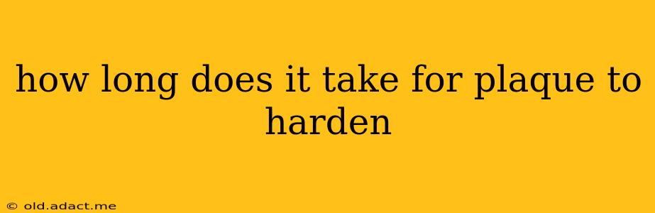 how long does it take for plaque to harden