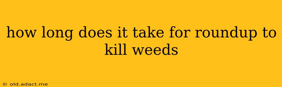 how long does it take for roundup to kill weeds