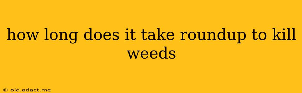 how long does it take roundup to kill weeds