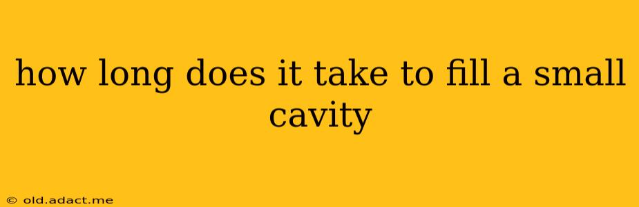 how long does it take to fill a small cavity