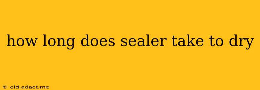 how long does sealer take to dry