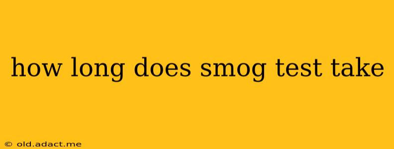 how long does smog test take