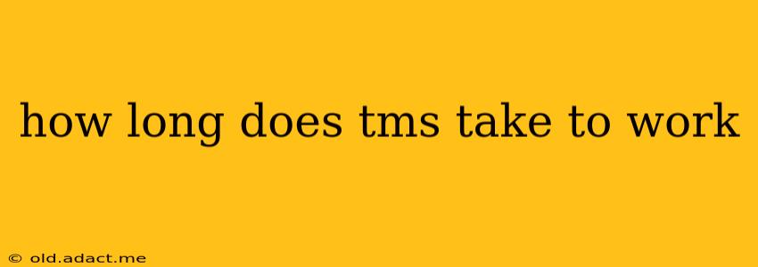 how long does tms take to work