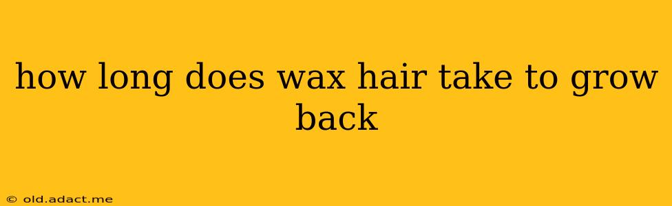 how long does wax hair take to grow back