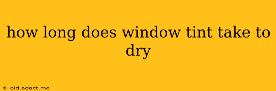 how long does window tint take to dry