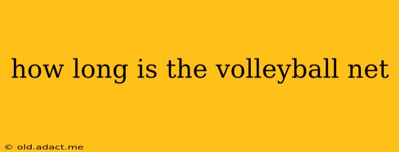 how long is the volleyball net