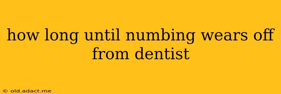 how long until numbing wears off from dentist