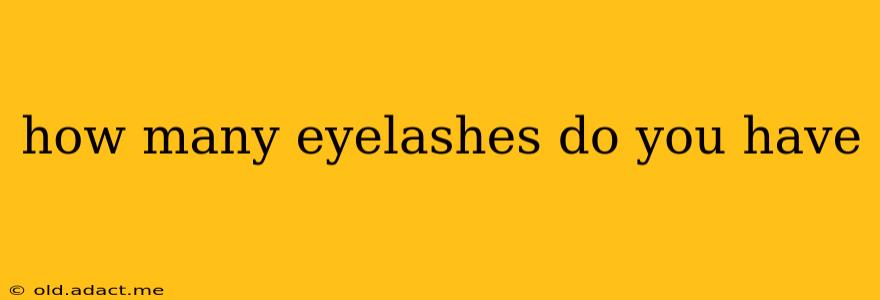 how many eyelashes do you have