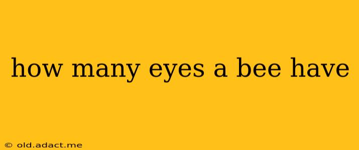 how many eyes a bee have