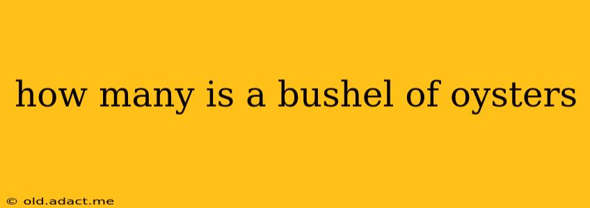 how many is a bushel of oysters