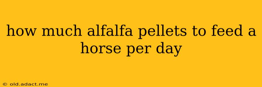 how much alfalfa pellets to feed a horse per day