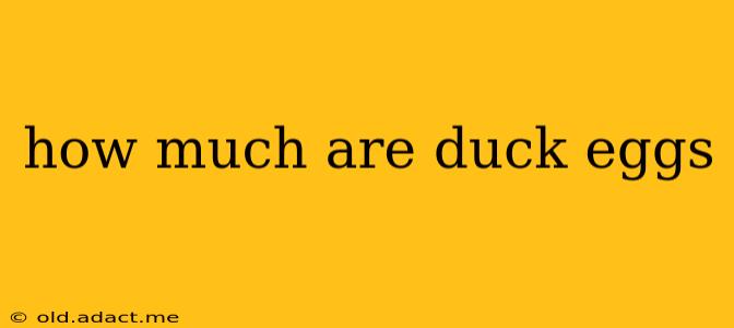 how much are duck eggs