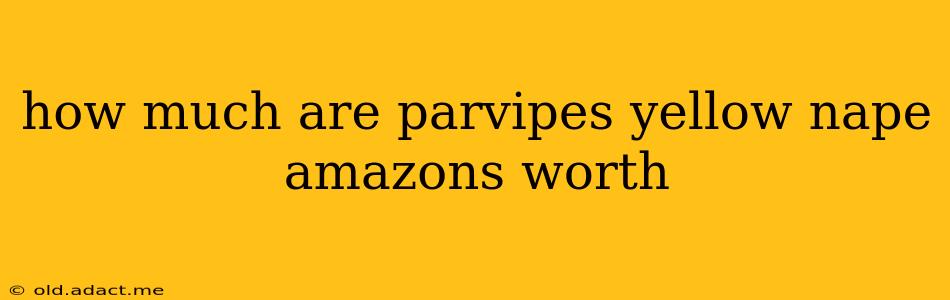 how much are parvipes yellow nape amazons worth