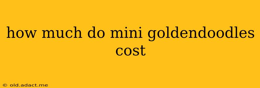 how much do mini goldendoodles cost