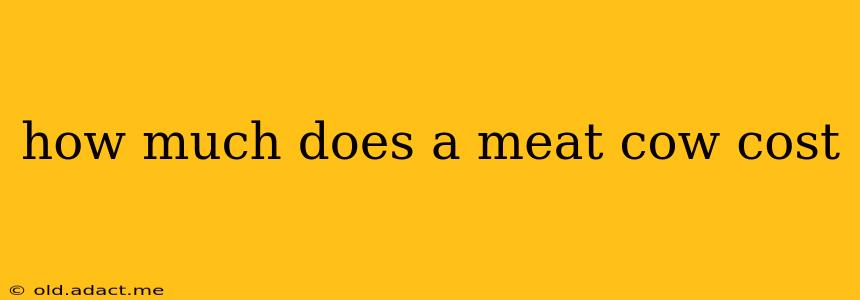 how much does a meat cow cost