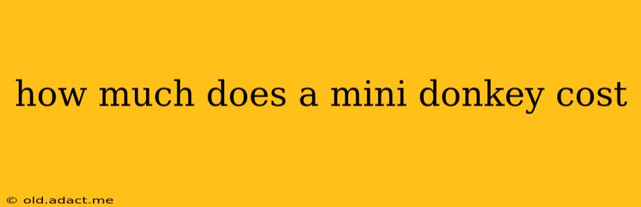 how much does a mini donkey cost