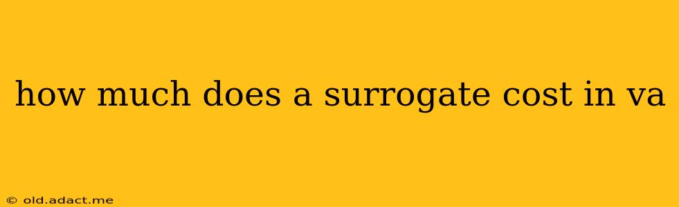 how much does a surrogate cost in va
