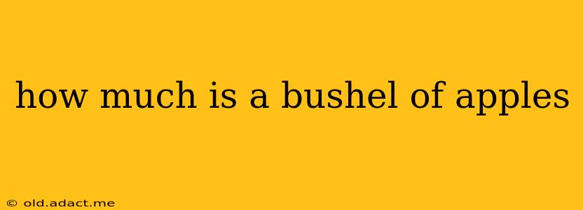 how much is a bushel of apples