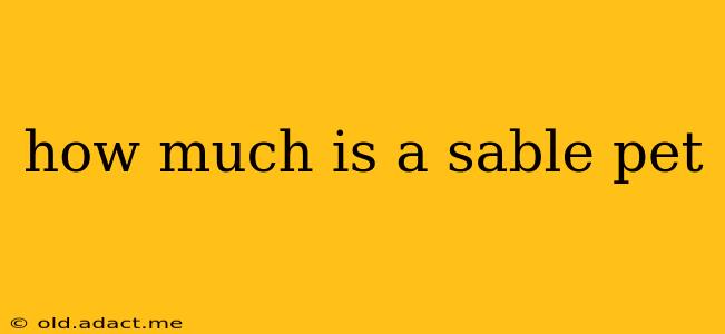 how much is a sable pet
