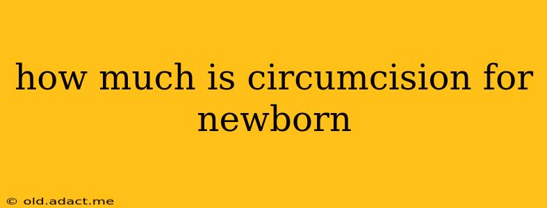 how much is circumcision for newborn
