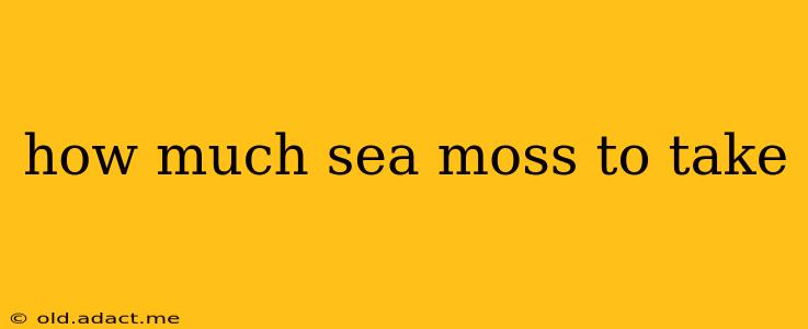 how much sea moss to take