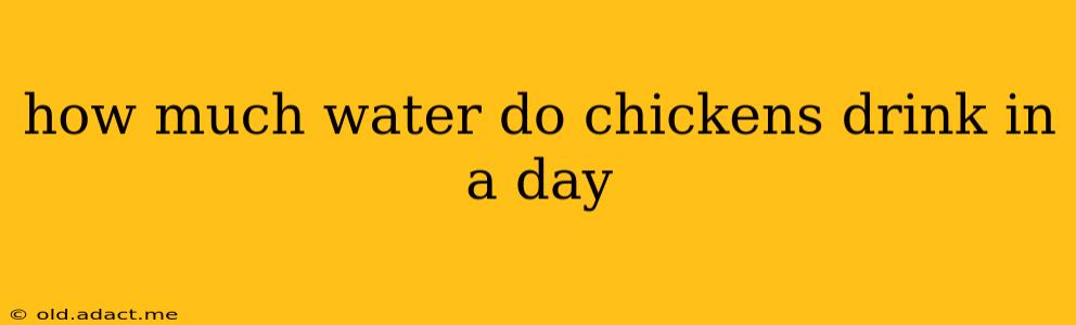 how much water do chickens drink in a day
