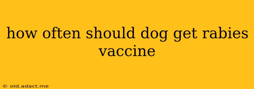 how often should dog get rabies vaccine