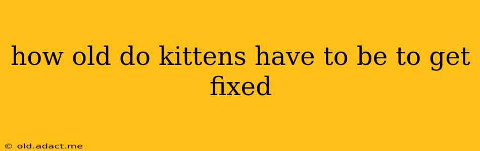 how old do kittens have to be to get fixed