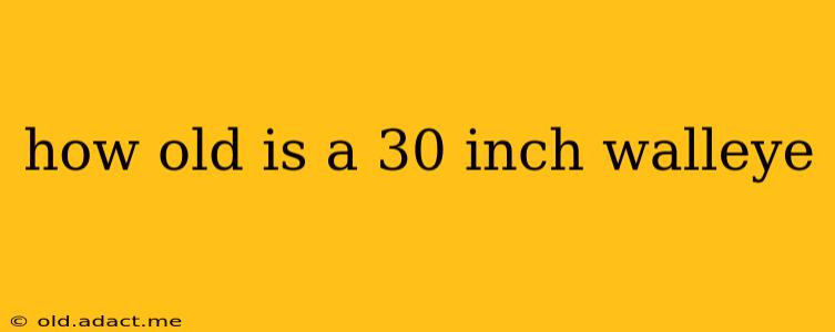 how old is a 30 inch walleye
